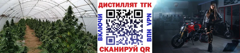 ТГК Wax Княгинино